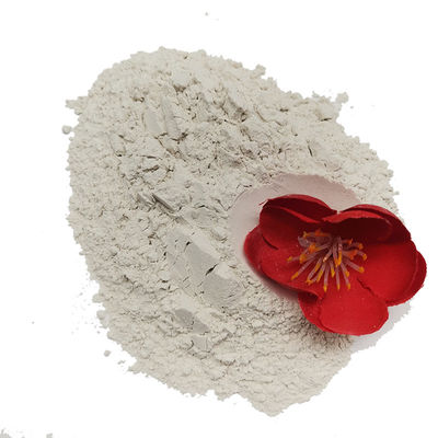 Campione di bentonite di sodio in polvere bianca per perforazione accettato