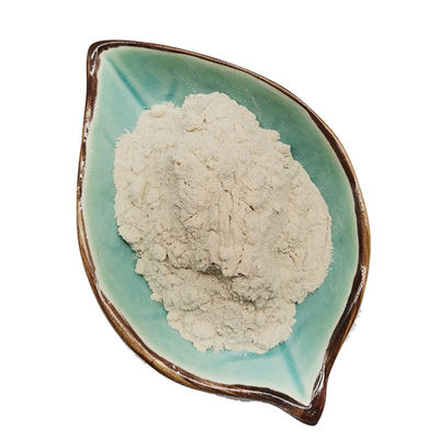 Scopri la versatilità della polvere di diatomite da 100 mesh 200 mesh 325 mesh