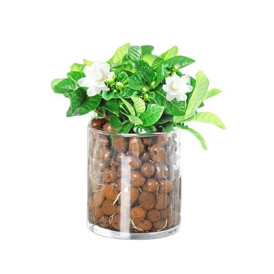 Pellettine di argilla LECA 50L sacchetto