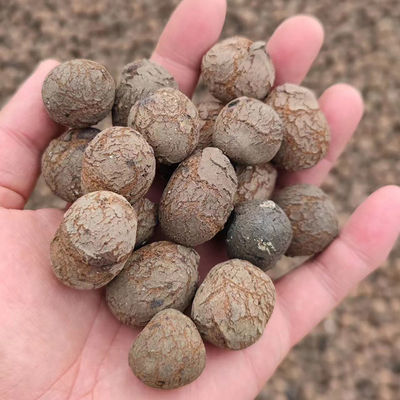 LECA Hydroponics fabbrica sfere marroni leggere per l'orticoltura