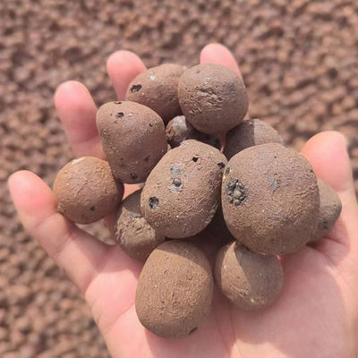 LECA per l'orticoltura e il giardinaggio Densità di massa 250-450 kg/m3